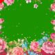 Wedding frame Green screen video with flowers and butterfly - Greenscreenvideo freegraphics