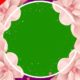 weddiing frame with flowers green screen - Greenscreenvideo freegraphics