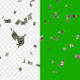 Dollar bills falling loop video in transparent BG and green screen - Green screen video freegraphics