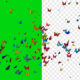 butterfly 3D animation on green screen and alpha video - Green screen video freegraphics