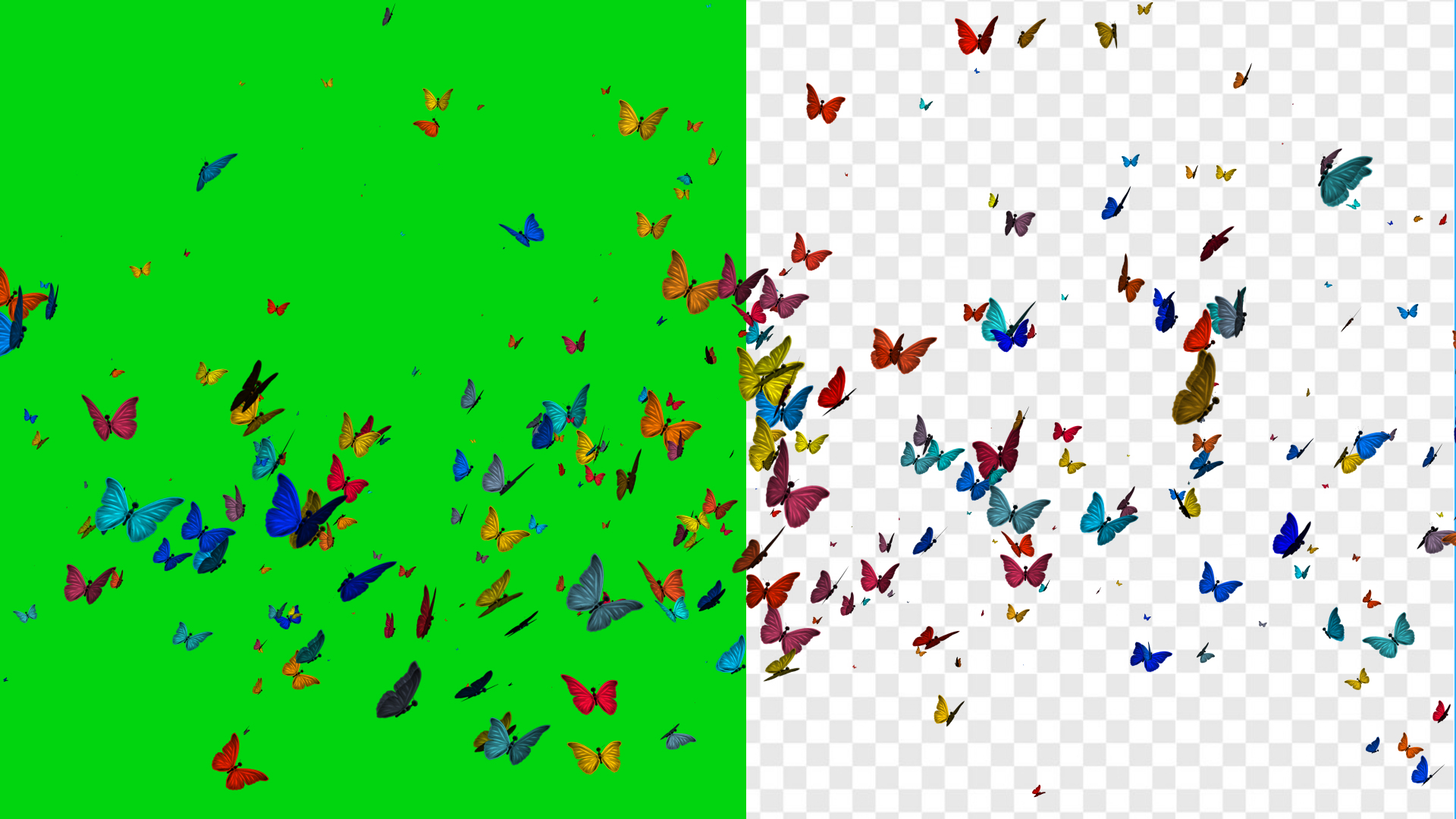 Download Butterfly 3d Animation On Green Screen And Alpha Video The Free Gfx