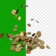 Gold coins falling on to the ground alpha nad green screen video - Green screen video freegraphics